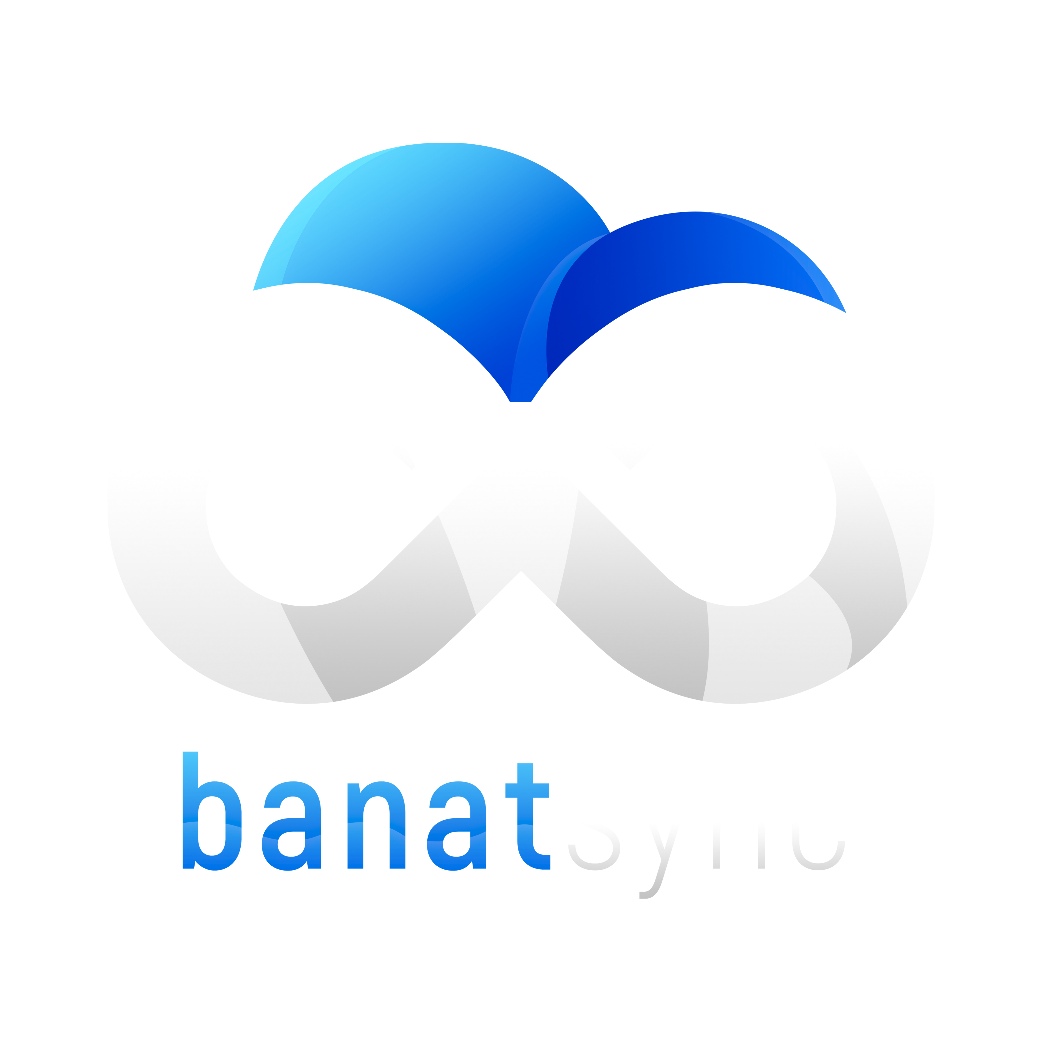 BANATSYNC S.R.L